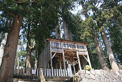 スギの巨木と白山中居神社の御本殿（2011年4月17日）