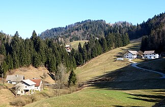 Hleviše im Hügelland von Rovte (619 m)