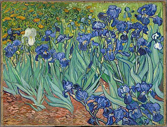 Painting of a bed of irises