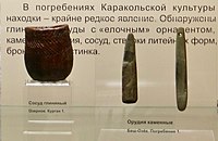 Karakol culture artifacts