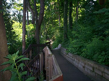 Boardwalk trail along the Cuyahoga River in Riveredge Park