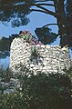 Clermont-l'Hérault, Burg