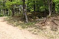 Auslauf der Landwehr Zeltingen am Moselhang Richtung Wehlen