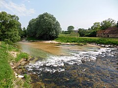 La Tille, depuis le pont de la Rue Bizot.