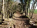 Chemin du fer entre la Pipaudie et le Quéroy.