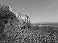 Nash Point, looking east