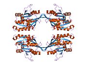 1kia: Crystal structure of glycine N-methyltransferase complexed with S-adenosylmethionine and acetate