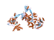 2c9o: 3D STRUCTURE OF THE HUMAN RUVB-LIKE HELICASE RUVBL1