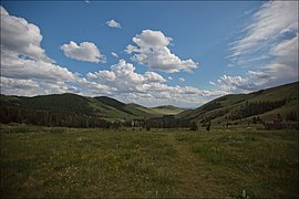 Paysage de Mongolie.