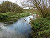 Castle Acre Common