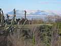 Montagne Sainte-Victoire vue depuis Saint-Savournin (1er mars 2006).