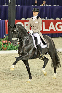 Lors d'un concours de dressage officiel, un cheval noir presque de face est monté par un cavalier portant une redingotte beige et un chapeau.