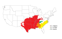 Distribución de sus subespecies en EEUU.