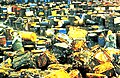 Valley of the Drums; illegal dumping of toxic waste lead to an EPA superfund site in Kentucky, USA, 1980