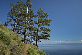 Пешая Большая Байкальская тропа