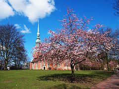 Kapitän-Schröder-Park, im Hintergrund St. Trinitatis