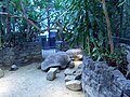Aldabra tortoises at Artis
