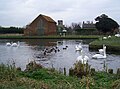 The basin at Hickling