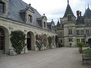 Cour du château.