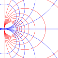 The same grid after the Möbius transformation.