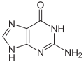 La guanine (G), une des bases des acides nucléiques, est une purine. Elle est la base complémentaire d'une pyrimidine : la cytosine (C) (dans l'ADN et l'ARN).
