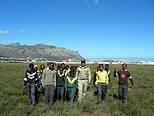 Community conservation group for the critically endangered remnant of Lourensford Alluvium Fynbos at Harmony Flats, Cape Town
