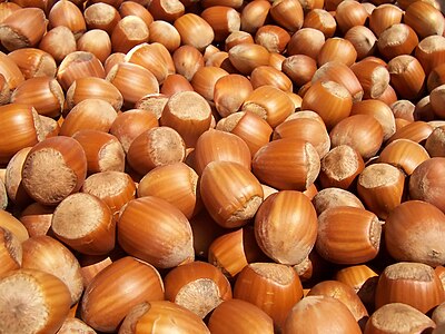 Common Hazelnuts, by Fir0002
