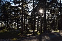 Shtamë Pass National Park