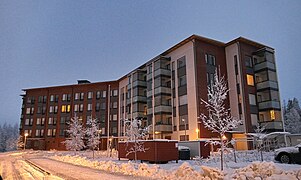 Apartments by the Kerkkäkatu in central Keljonkangas.