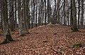 Stone sill around the pit