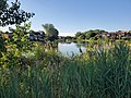 Lac urbain vu de la piste cyclable.