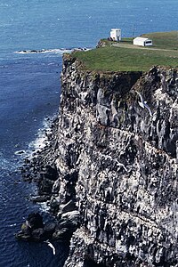 Il punto più occidentale escludendo le Azzorre: capo Bjargtangar, promontorio di Látrabjarg, penisola di Vestfirðir, in Islanda