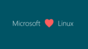 "Microsoft (loves) Linux"