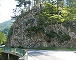 Felswand bei der Hochstegbrücke am rechten Ufer der Schwarza