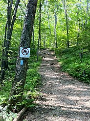 Narragansett Trail's south-west trailhead at Wintechog Road.