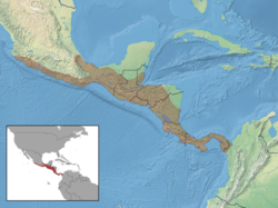 Distribución geográfica