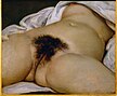 L’Origine du monde, de Gustave Courbet.