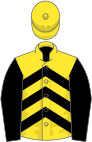 Yellow, black chevrons and sleeves