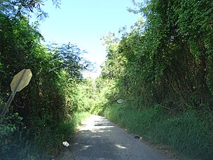 Puerto Rico Highway 549 looking south