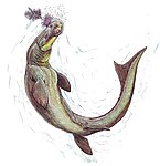 Прогнатодон Prognathodon solvayi