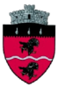 Coat of arms of Cârlibaba