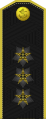 Admiral Turkmen Naval Forces[58]