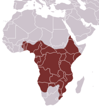 Distribución de Genetta maculata