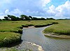 Pagham Harbour