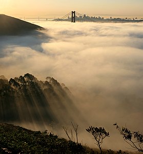 San Francisco fog, by Mila Zinkova