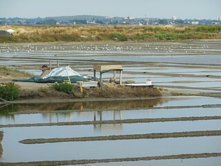 Les marais salants à Sissable, vue sur le village de Saillé.