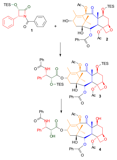 Tail Addition Scheme 7