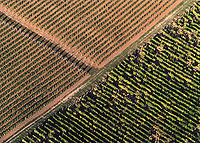 Vue aérienne du vignoble de Hegyalja.