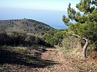 View of Mount Licosa trail to the coastal tower Semaforo