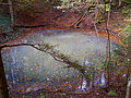 Der grösste der drei Weiher im Loch